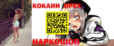 гашик Аргун