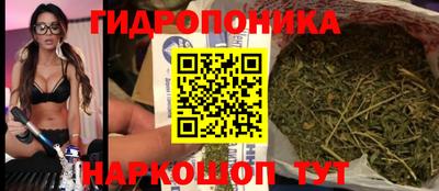 гашик Аргун