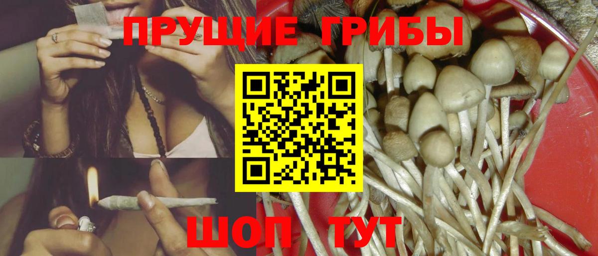 Астрахань  Галлюциногенные грибы мицелий  Псилоцибиновые грибы ЛСД  Вход с VPN 